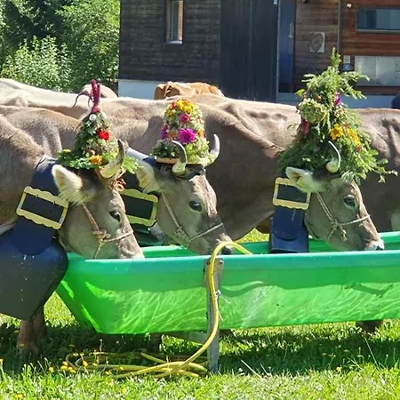 Casa Greina * Surrein