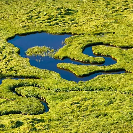 Couette-café Casa Greina Surrein