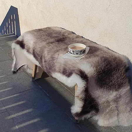 Casa Greina Oda ve Kahvaltı *