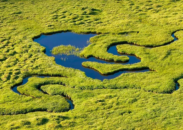 住宿加早餐酒店 Casa Greina Surrein