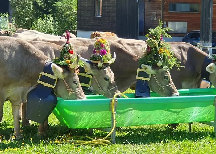 Casa Greina * Surrein