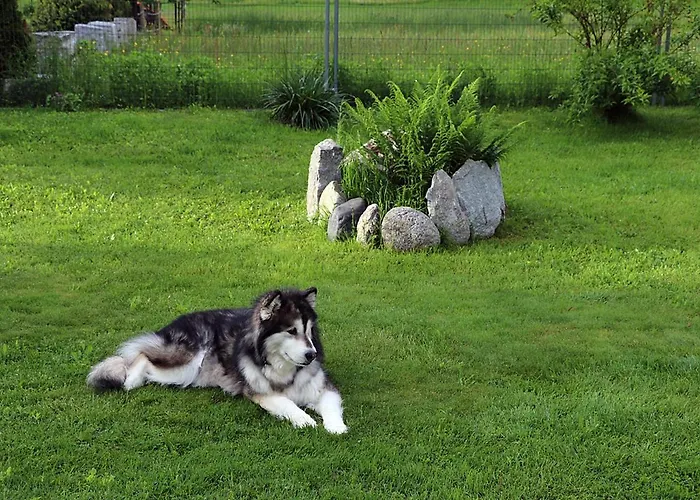 Casa Greina فندق مبيت وإفطار *