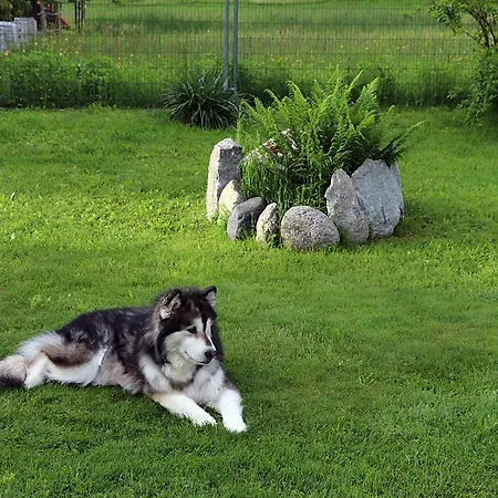 Casa Greina Oda ve Kahvaltı *